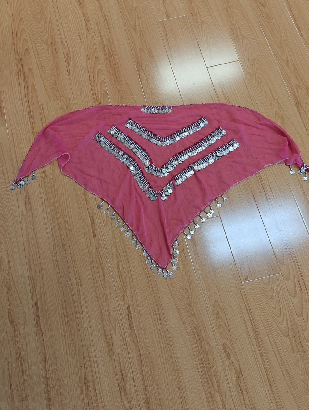 Pink Coin Trim Belly Dance Hip Scarf